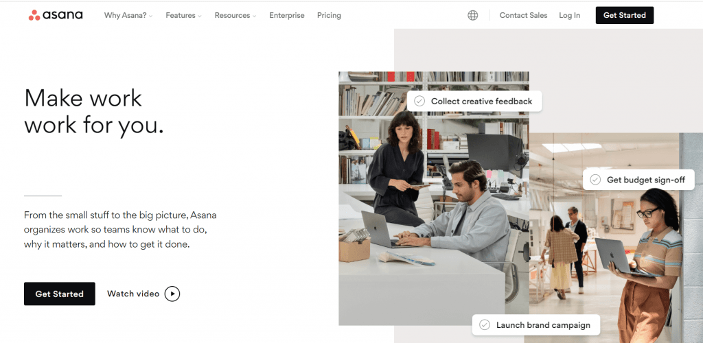 Project management tool - Asana